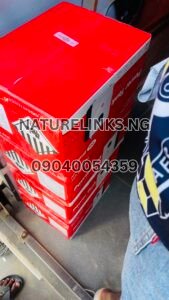 Itel Power Tank 1000W 2kWh Price in Nigeria